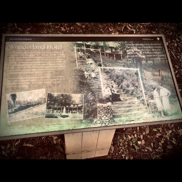 Hello out there! - Picture 3 of 3